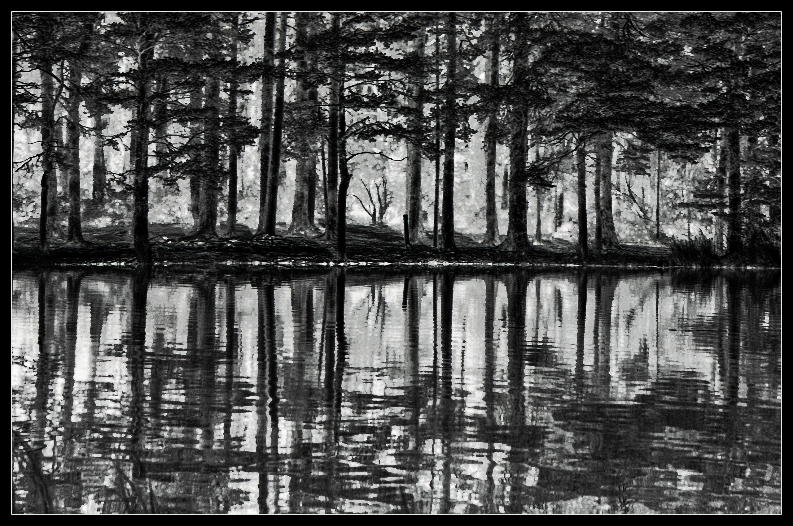 Monochrome Reflections