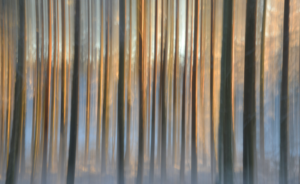 Natural Scotland Photography Abstract, I|CM and Light Painting