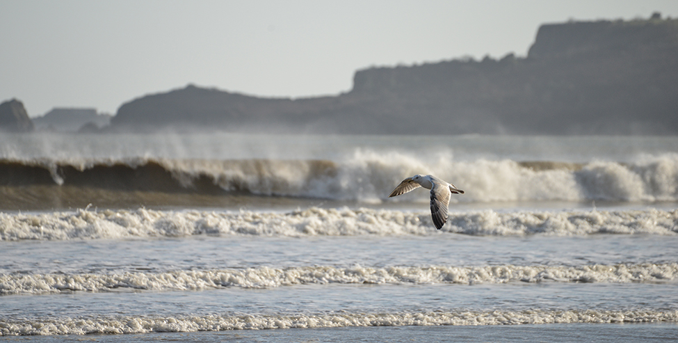 Natural Scotland Travel Photography - Amroth Beach, South Wales
